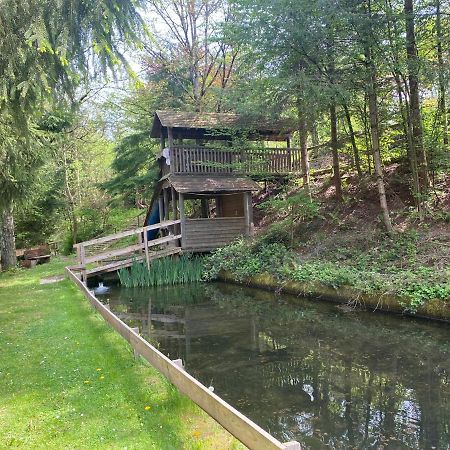 Hotel-Restaurant Theis-Muehle Biersdorf am See Bagian luar foto