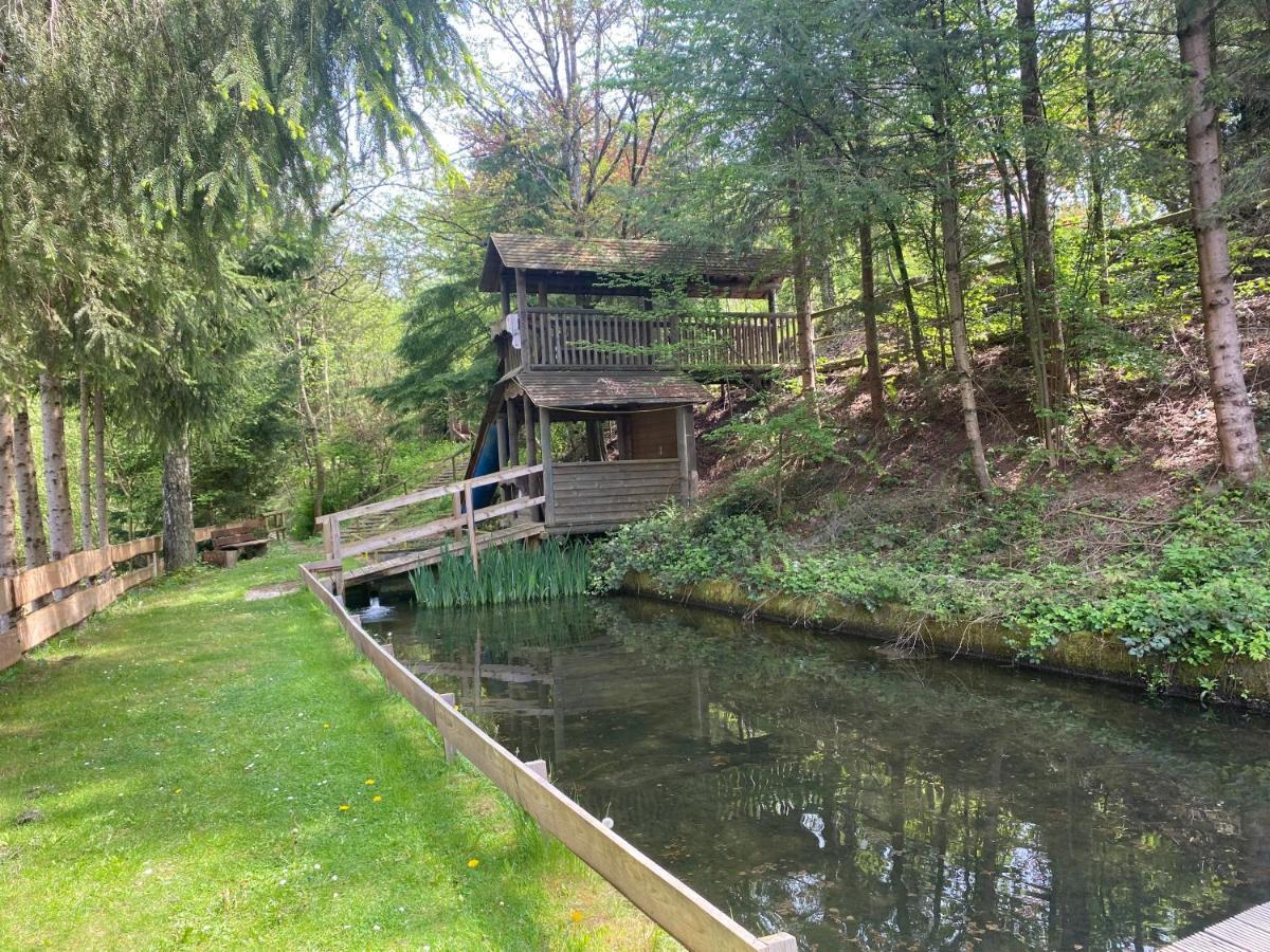 Hotel-Restaurant Theis-Muehle Biersdorf am See Bagian luar foto